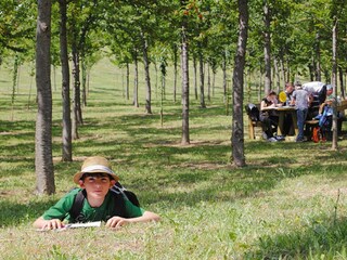 Parco vacanze Marina di Altidona Registrazione all'aperto 18