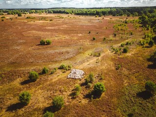 Parc de vacances Gasselternijveen Environnement 24