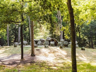 Parc de vacances Gasselternijveen Environnement 23