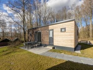 Vakantiepark Modern chalet met afwasmachine nabij recreatieplas - Gasselternijveen - image1