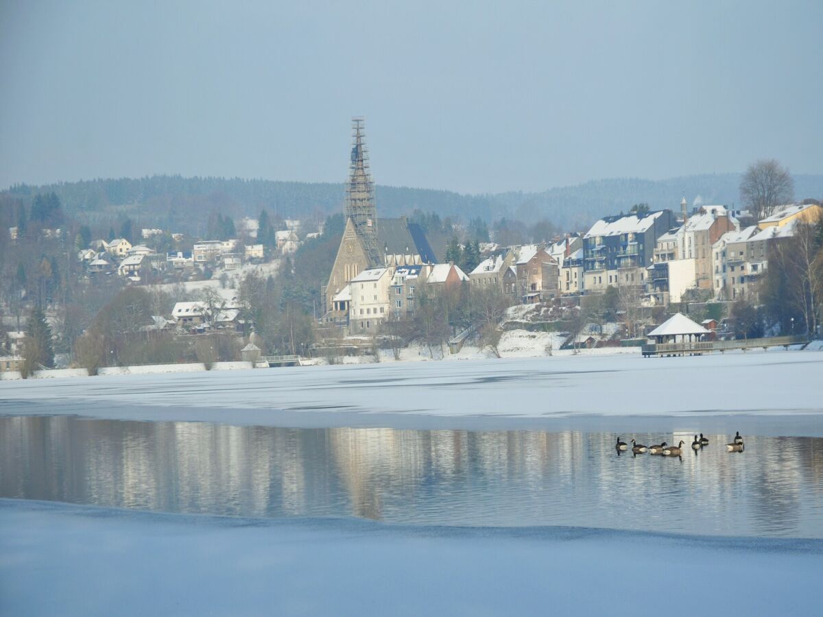 Ferienpark Vielsalm Umgebung 15