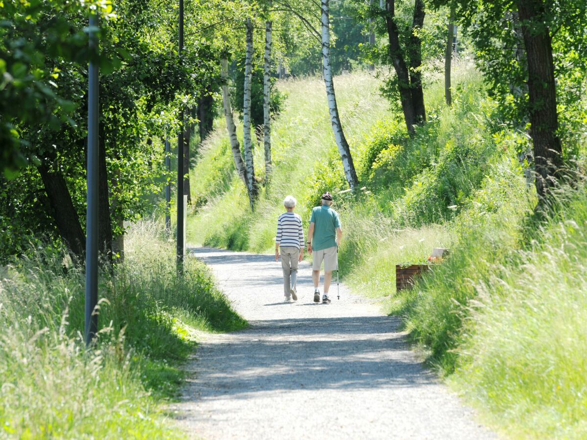 Ferienpark Vielsalm Umgebung 17