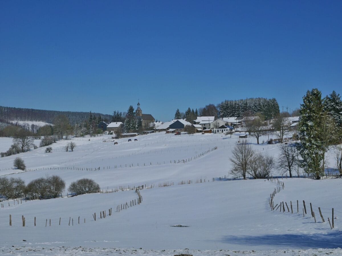 Ferienpark Vielsalm Umgebung 21