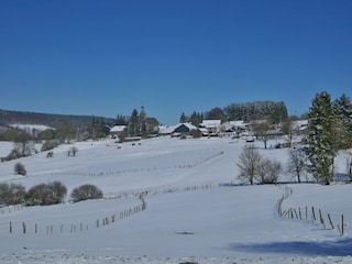 Parc de vacances Vielsalm Environnement 14