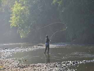 Parc de vacances Vielsalm Environnement 19