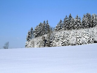 Vakantiepark Winterberg Omgeving 18