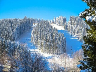 Vakantiepark Winterberg Omgeving 32