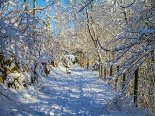 Parc de vacances Winterberg Environnement 34