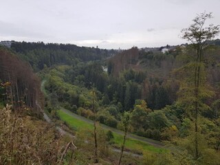 Parque de vacaciones Winterberg Entorno 27