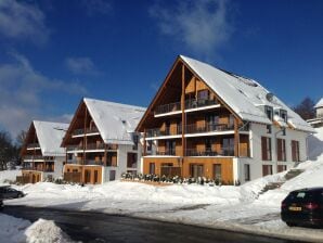 Holiday park Spacious, modern apartment, ten minutes walk from the centre - Winterberg - image1