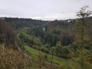 Parc de vacances Winterberg Environnement 21