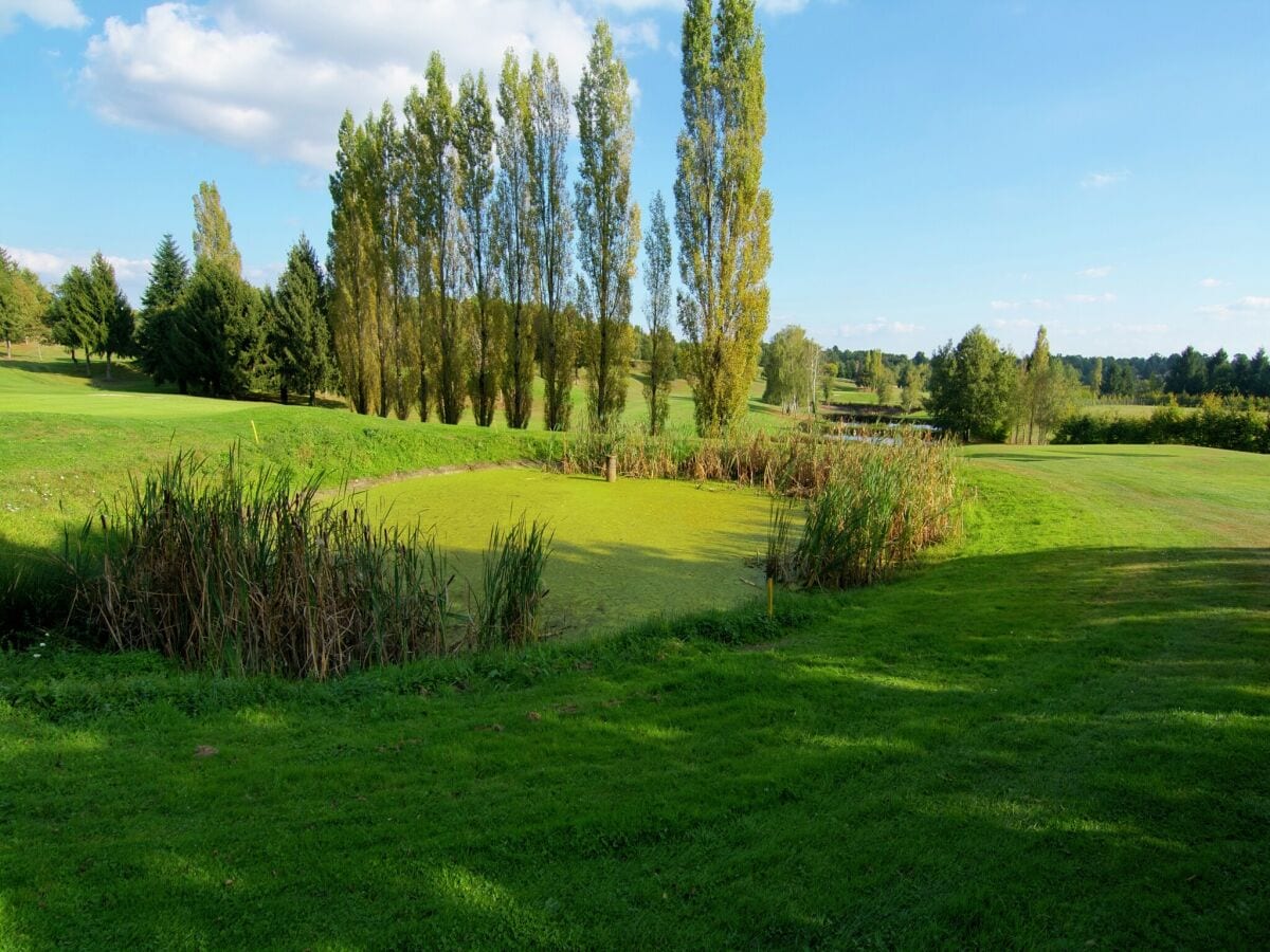 Ferienpark Ecuras Umgebung 30