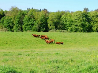 Ferienpark Ecuras Außenaufnahme 8