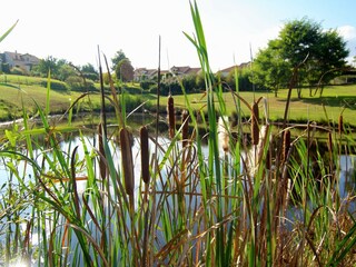 Parc de vacances Ecuras Environnement 32