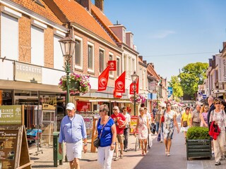 Ferienpark Nieuwvliet Umgebung 18