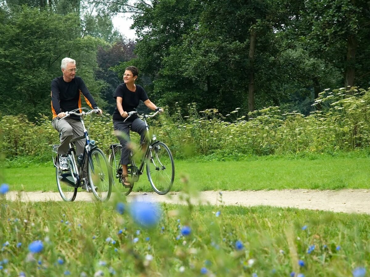 Ferienpark Baarlo Umgebung 8