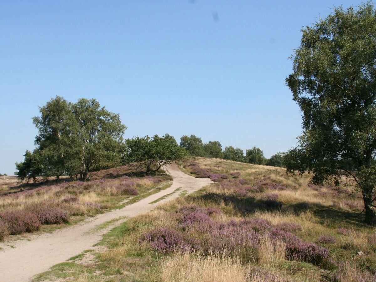 Ferienpark Baarlo Umgebung 10