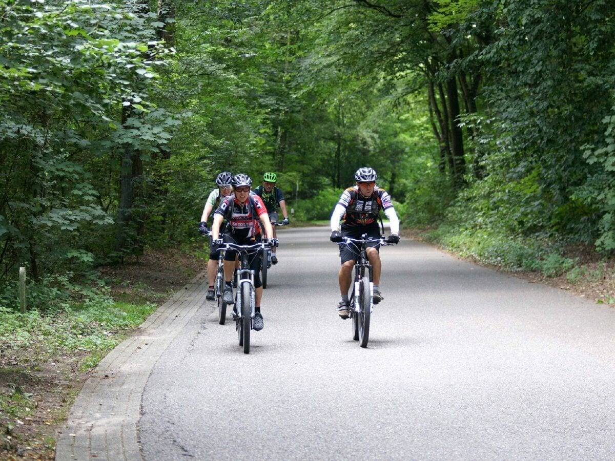 Ferienpark Baarlo Umgebung 11