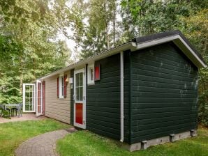 Vakantiepark Knus chalet met combimagnetron naast een natuurgebied - Borger - image1