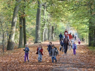 Vakantiepark Borger Omgeving 19