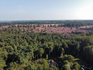 Parc de vacances Borger Environnement 20