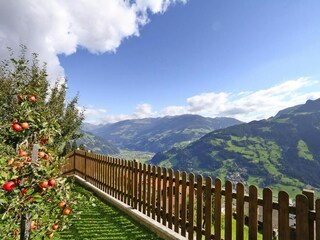 Appartement Hippach Buitenaudio-opname 12