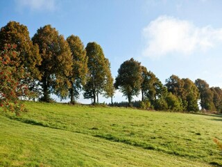 Ferienpark Winterberg Umgebung 20