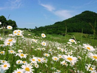 Vakantiepark Winterberg Omgeving 26