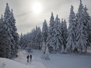 Ferienpark Winterberg Umgebung 32