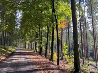 Parc de vacances Winterberg Environnement 35