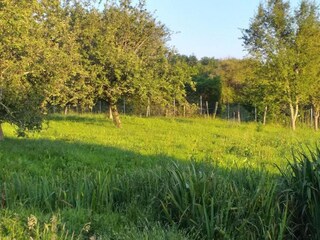 Parc de vacances Ecuras Environnement 40