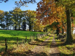 Vakantiepark Ecuras Omgeving 36