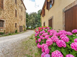 Parque de vacaciones Perugia Entorno 32