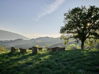 Vakantiepark Perugia Omgeving 34