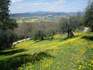 Parc de vacances Perugia Environnement 36