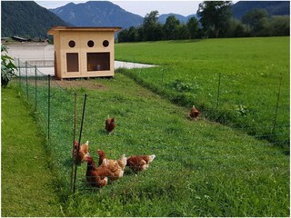 Appartamento per vacanze Kirchdorf in Tirol Ambiente 21