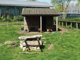 Holiday park Dordrecht  29