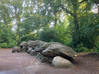 Parc de vacances Borger Environnement 16