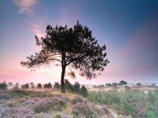 Vakantiepark Borger Omgeving 12