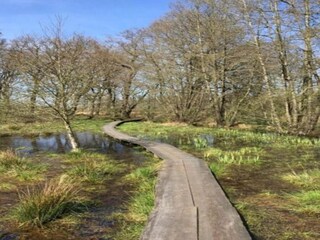 Vakantiepark Borger Omgeving 22