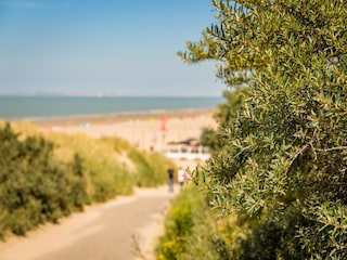 Parco vacanze Nieuwvliet  34