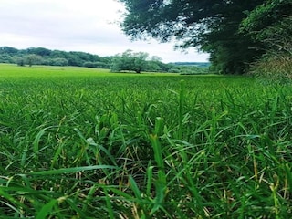 Parc de vacances Barvaux-sur-Ourthe Environnement 26