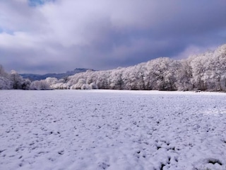 Parc de vacances Barvaux-sur-Ourthe Environnement 19