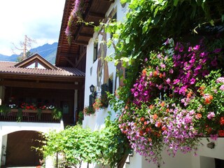 Appartamento Meran Registrazione all'aperto 10