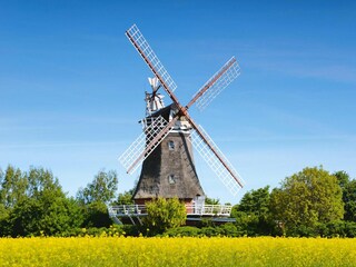 Vakantiehuis Oldsum auf Föhr Omgeving 13