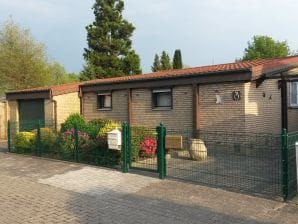 Ferienhaus Am Ginsterbusch - Wettringen (Münsterland) - image1