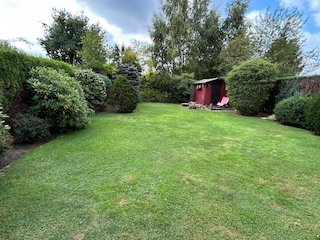 Blick in den Garten