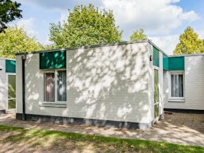 Vakantiepark Comfortabele bungalow met afwasmachine nabij Hunebedcentrum - Borger - image1