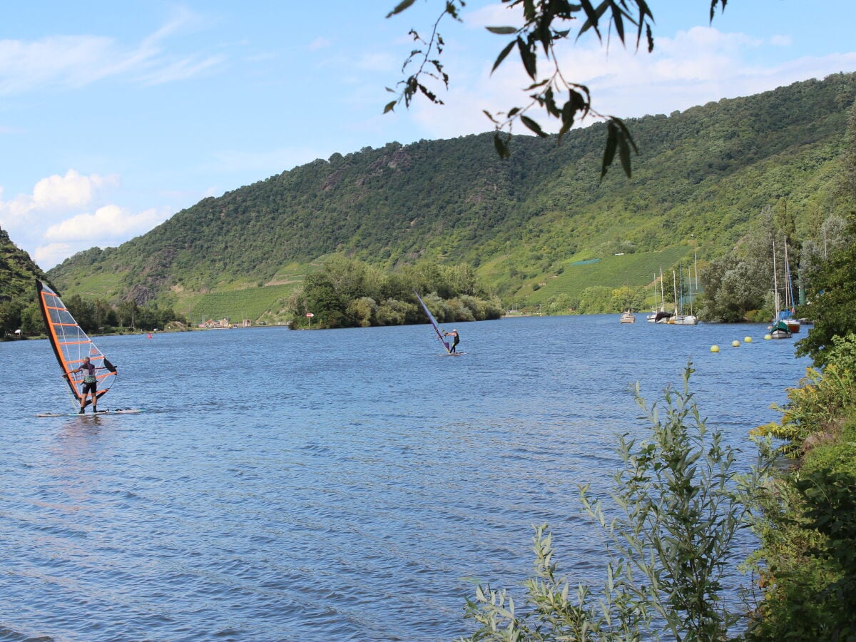 Moselstausee mit Reiherschußinsel (Naturschutzgebiet)