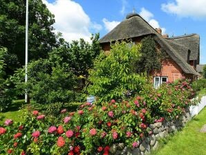 Appartement, Oevenum - Oevenum - image1